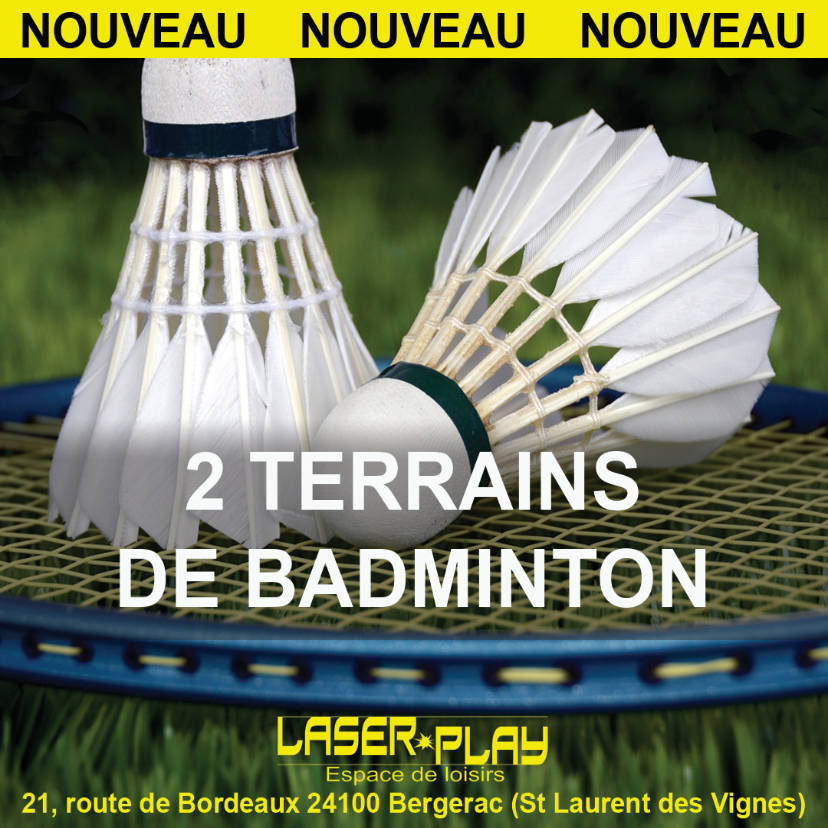badminton1